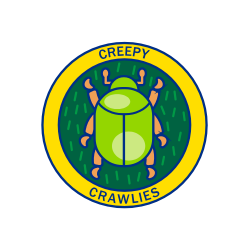 Creepy Crawlies Colorful graphic of a beetle